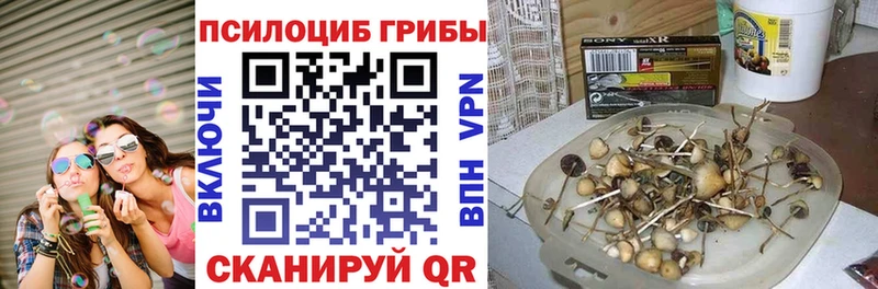 Галлюциногенные грибы ЛСД  купить наркотики сайты  Феодосия 